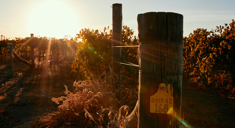 Turners crossing vineyard post